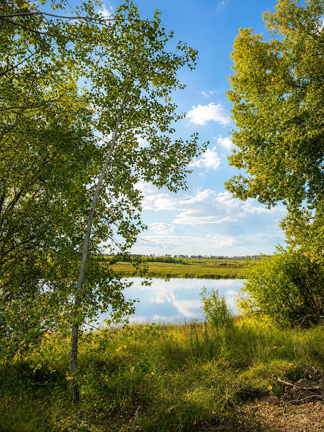 Водоём рядом с КП Родина